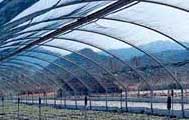 Shade Tarps